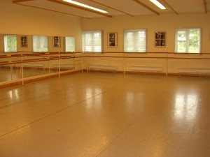 Fra lokalene aug09 007